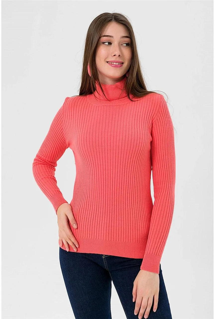 Knitted High Neck Cozy Sweater for Women