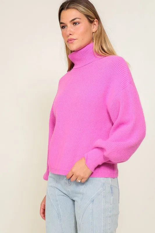 Louise Rib Knitted Turtleneck Sweater