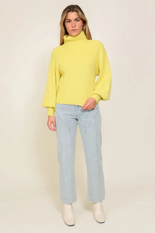 Louise Rib Knitted Turtleneck Sweater